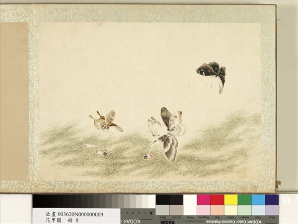 花甲圖　冊　蝴蝶（九）