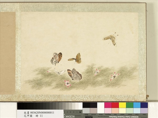 花甲圖　冊　蝴蝶（十一）