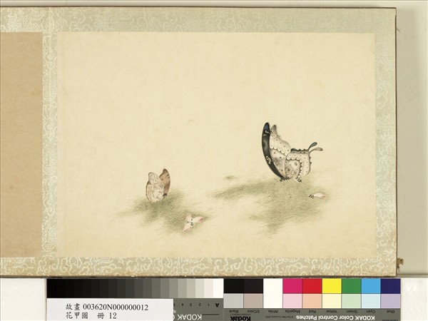 花甲圖　冊　蝴蝶（十二）