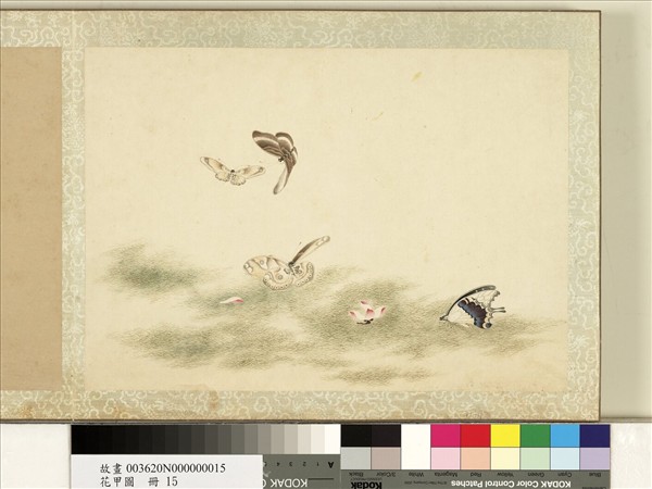花甲圖　冊　蝴蝶（十五）