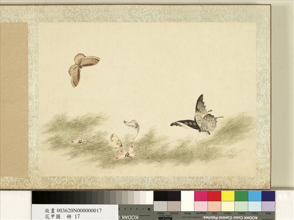 花甲圖　冊　蝴蝶（十七）
