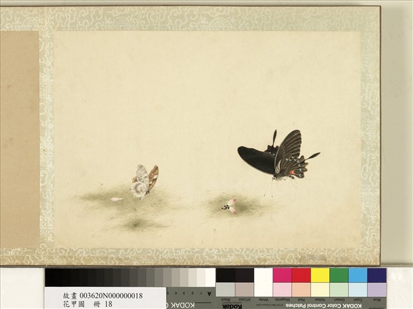 花甲圖　冊　蝴蝶（十八）
