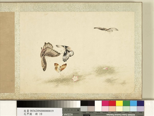 花甲圖　冊　蝴蝶（十九）