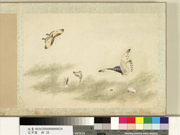 花甲圖　冊　蝴蝶（廿）