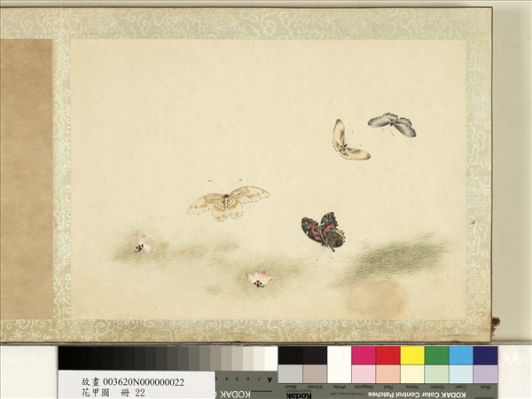 花甲圖　冊　蝴蝶（廿二）