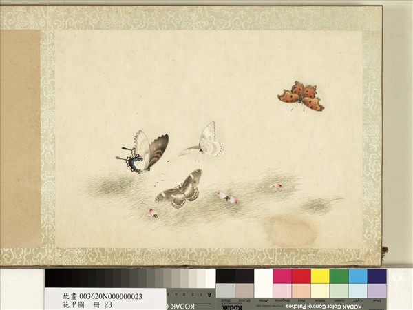 花甲圖　冊　蝴蝶（廿三）