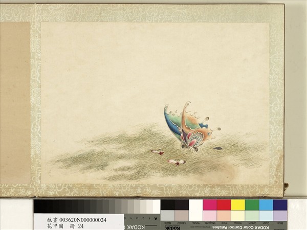 花甲圖　冊　蝴蝶（廿四）