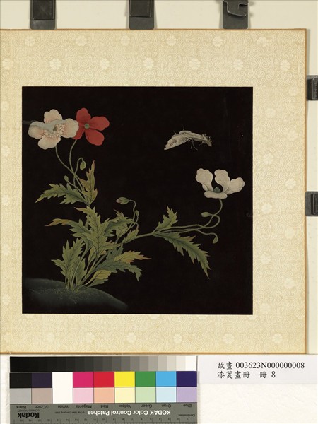 漆箋畫冊　冊　花蝶