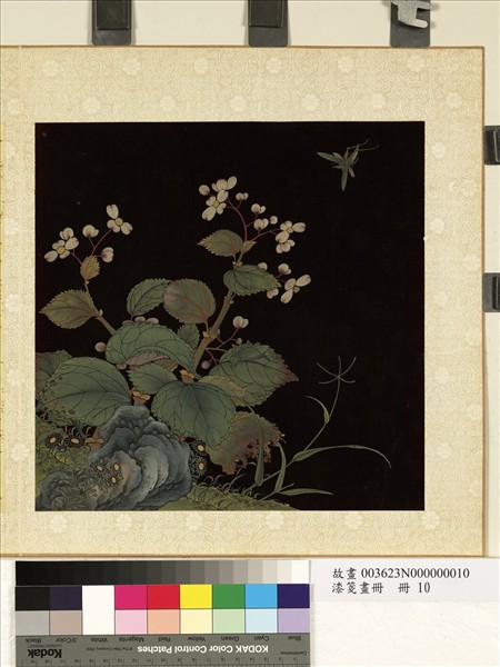 漆箋畫冊　冊　花與昆蟲