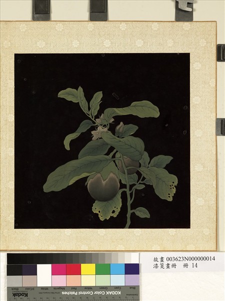 漆箋畫冊　冊　茄子