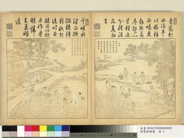 御製耕織圖　冊　插秧