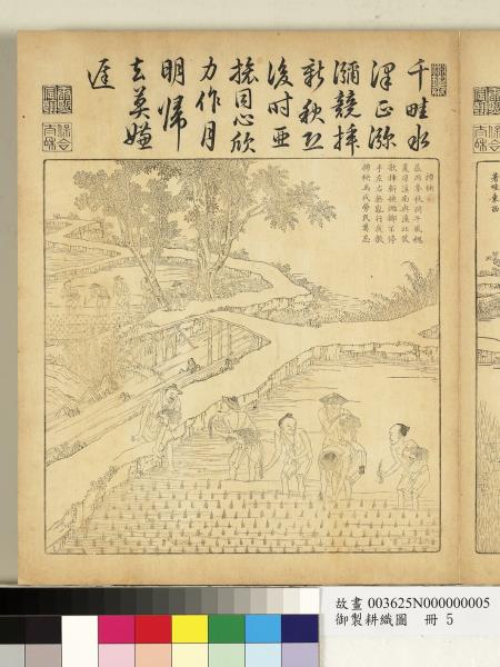 御製耕織圖　冊　插秧