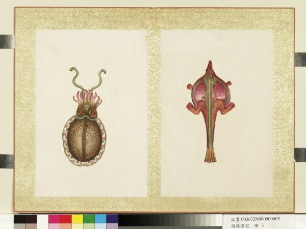 海怪圖記　冊　怪魚六