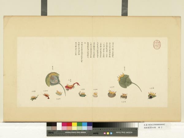 海錯圖第四冊　冊　無款鱟負火