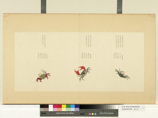 海錯圖第四冊　冊　無款長腳蟹