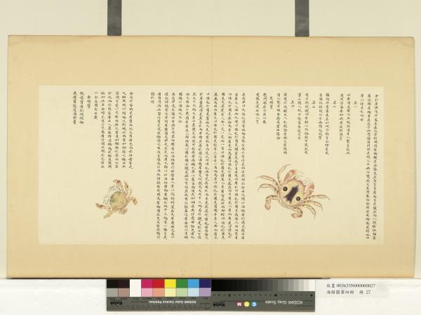 海錯圖第四冊　冊　無款虎蟹