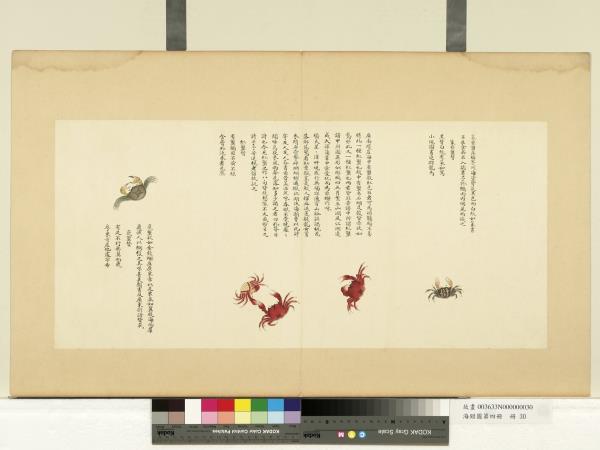 海錯圖第四冊　冊　無款篆背蟹