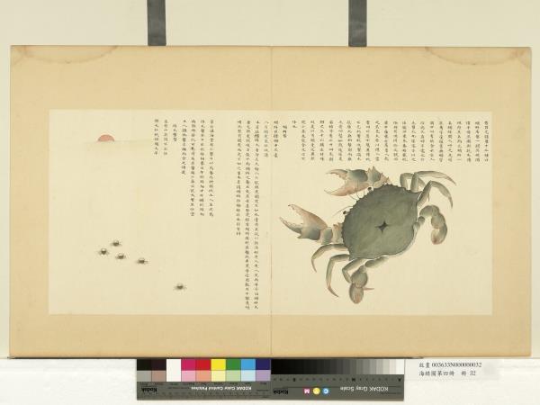 海錯圖第四冊　冊　無款蝤蛑