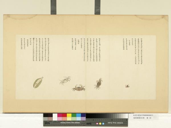 海錯圖第四冊　冊　無款和尚蟹