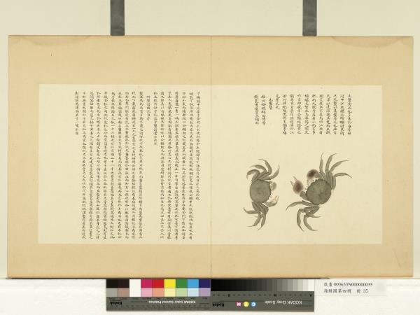 海錯圖第四冊　冊　無款毛蟹