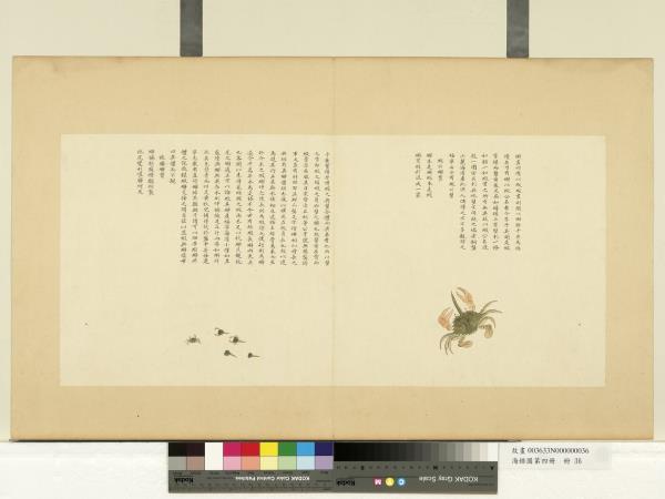 海錯圖第四冊　冊　無款蝦公蟹