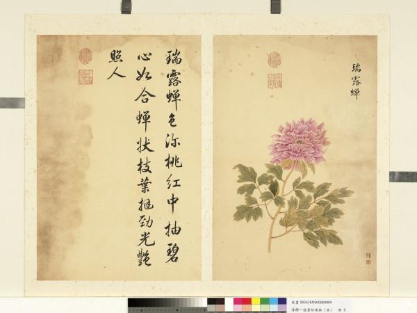 清鄒一桂墨妙珠林（未）　冊　瑞露蟬