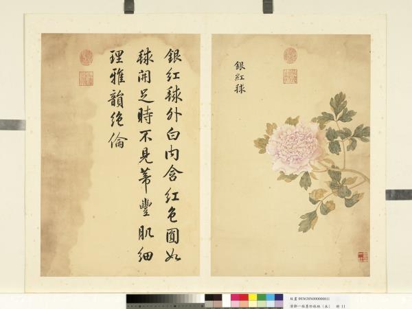 清鄒一桂墨妙珠林（未）　冊　銀紅毬