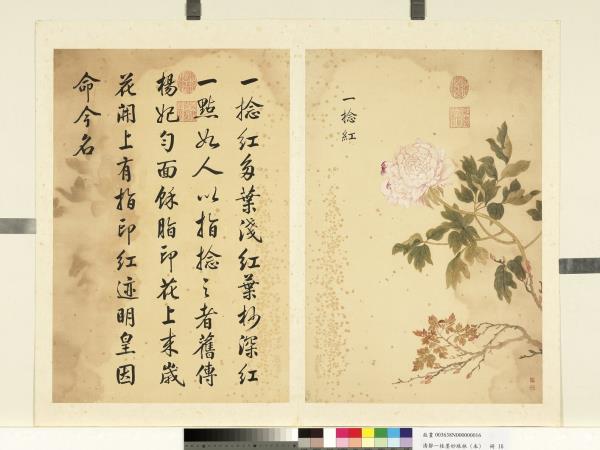 清鄒一桂墨妙珠林（未）　冊　一捻紅