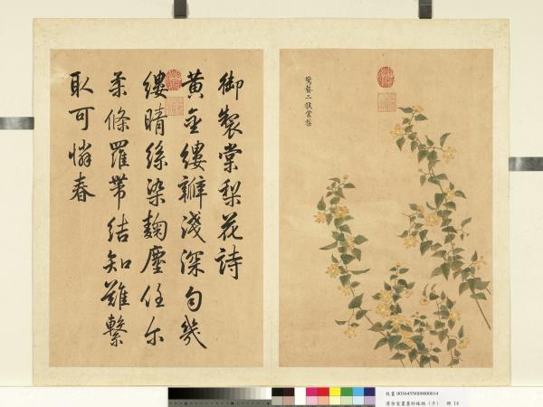 清余省畫墨妙珠林（子）　冊　驚蟄二候棠梨