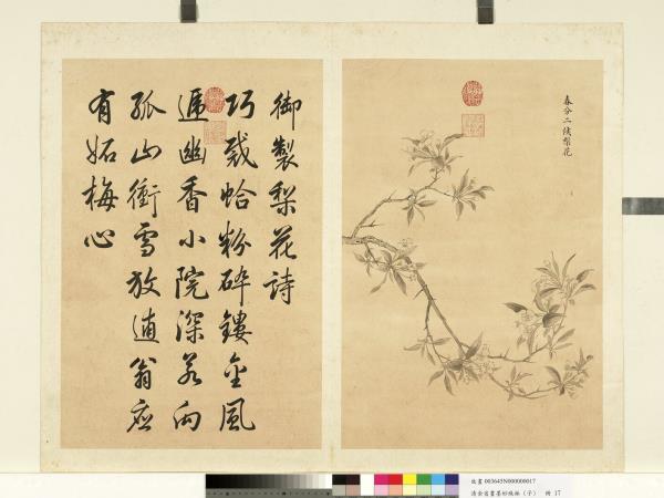 清余省畫墨妙珠林（子）　冊　春分二候梨花