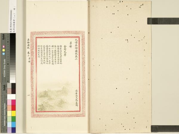 毛詩品物圖考（二）　冊　其檿其柘