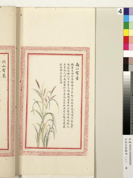 毛詩品物圖考（二）　冊　其檿其柘