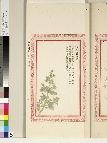 毛詩品物圖考（二）　冊　其檿其柘