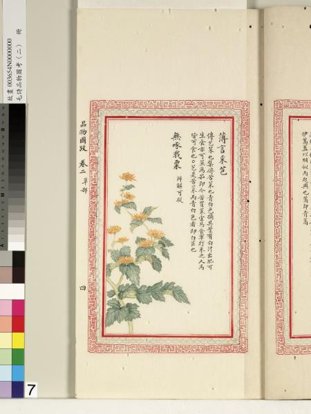 毛詩品物圖考（二）　冊　其檿其柘