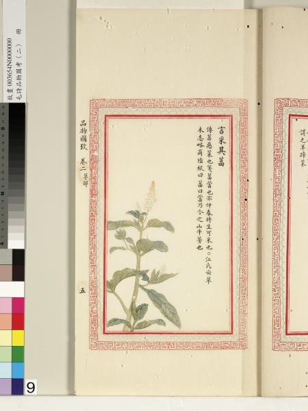 毛詩品物圖考（二）　冊　其檿其柘