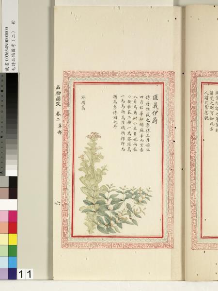 毛詩品物圖考（二）　冊　其檿其柘