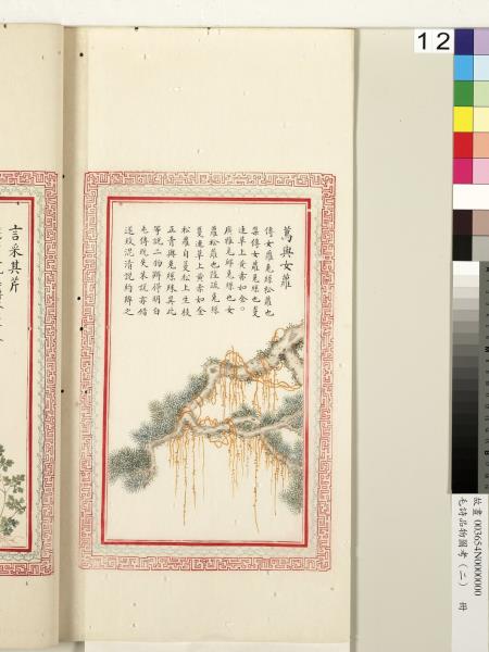 毛詩品物圖考（二）　冊　其檿其柘