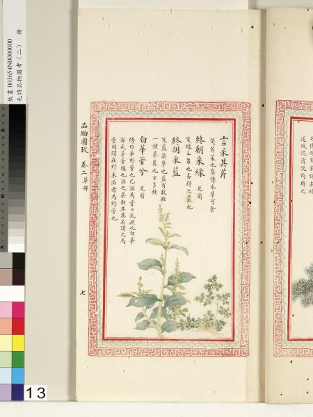 毛詩品物圖考（二）　冊　其檿其柘