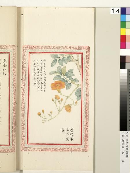 毛詩品物圖考（二）　冊　其檿其柘