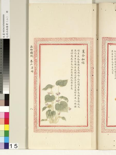 毛詩品物圖考（二）　冊　其檿其柘