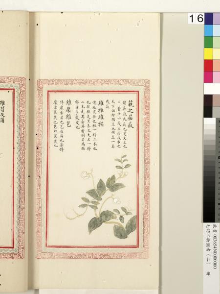 毛詩品物圖考（二）　冊　其檿其柘