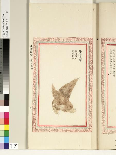 毛詩品物圖考（二）　冊　其檿其柘