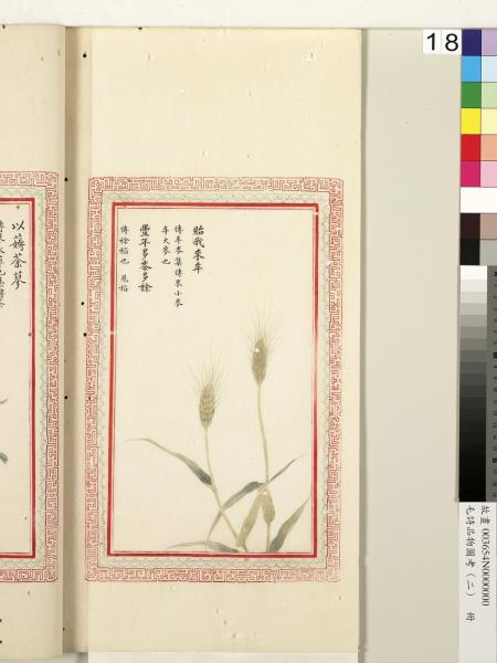 毛詩品物圖考（二）　冊　其檿其柘