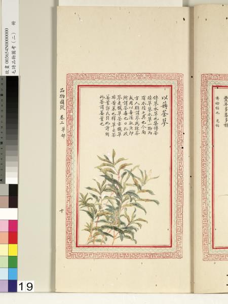 毛詩品物圖考（二）　冊　其檿其柘