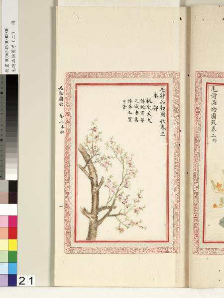 毛詩品物圖考（二）　冊　其檿其柘