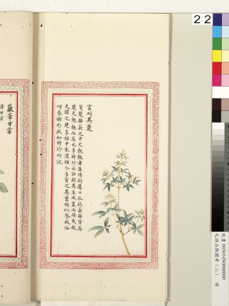 毛詩品物圖考（二）　冊　其檿其柘