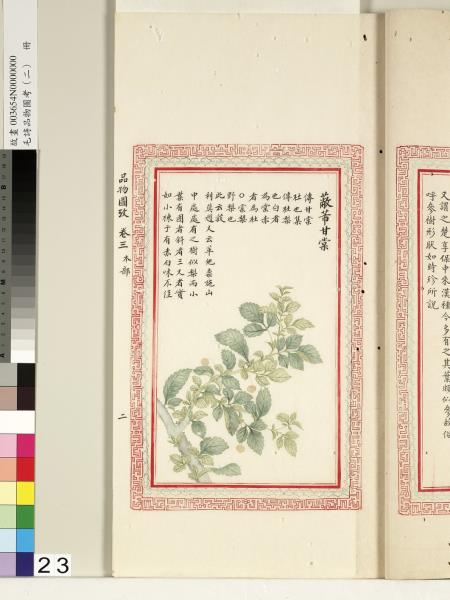 毛詩品物圖考（二）　冊　其檿其柘