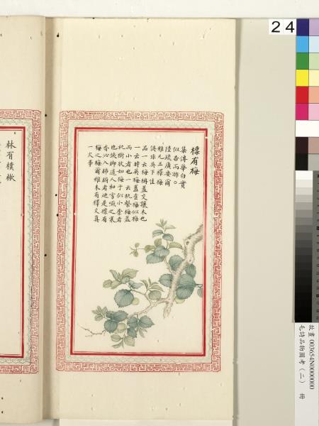 毛詩品物圖考（二）　冊　其檿其柘