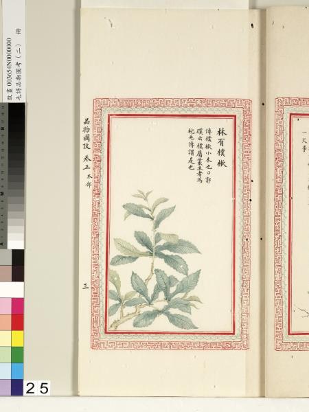 毛詩品物圖考（二）　冊　其檿其柘