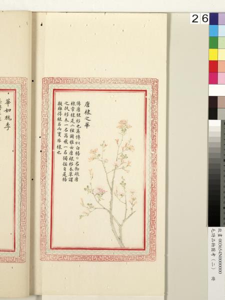 毛詩品物圖考（二）　冊　其檿其柘